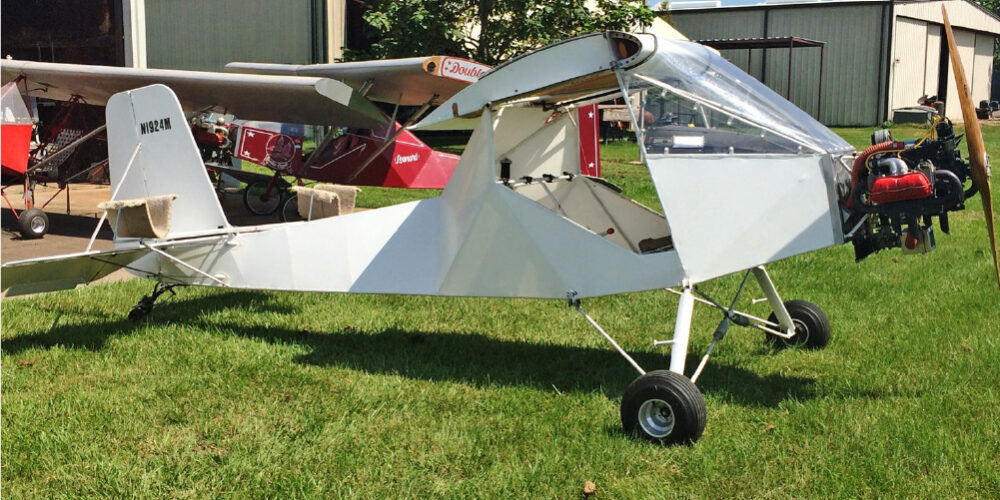 Cabin Eagle Plane on Green Grass